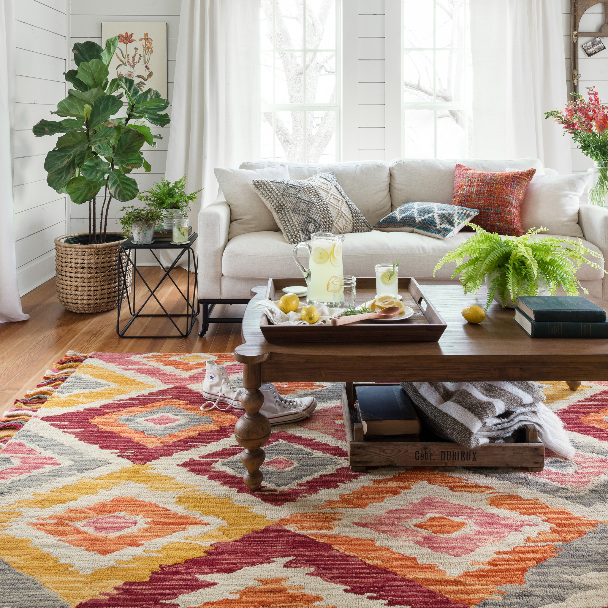 spring rug cleaning